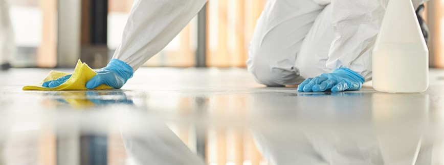 Floor Cleaning