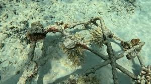 Underwater concrete placement